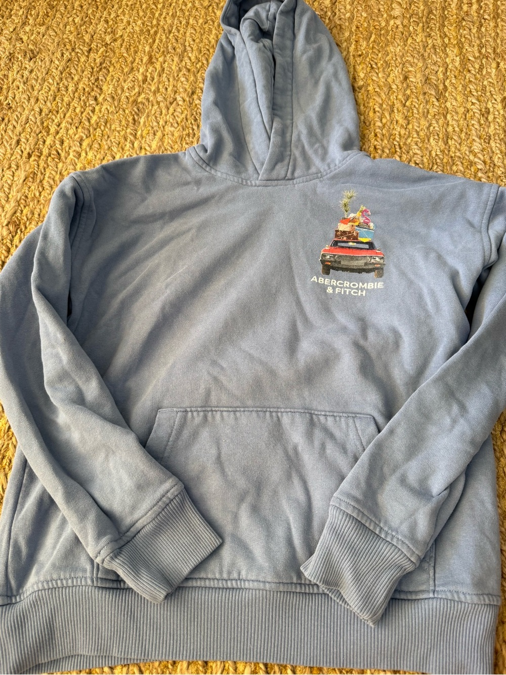 Abercrombie Kids Boys Blue Graphic Sweatshirt Hoodie Relaxed Fit Size 11/12